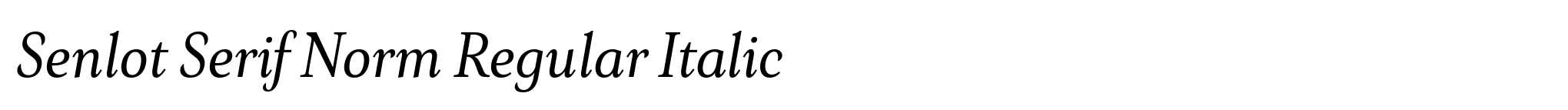 Senlot Serif Norm Regular Italic image